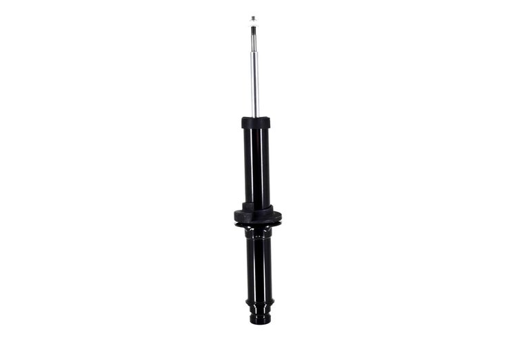 335575 Suspension Strut Assembly
