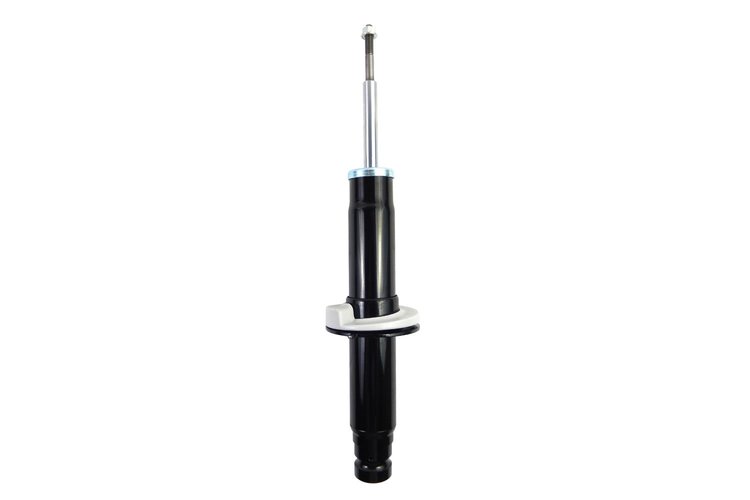 335946 Suspension Strut Assembly