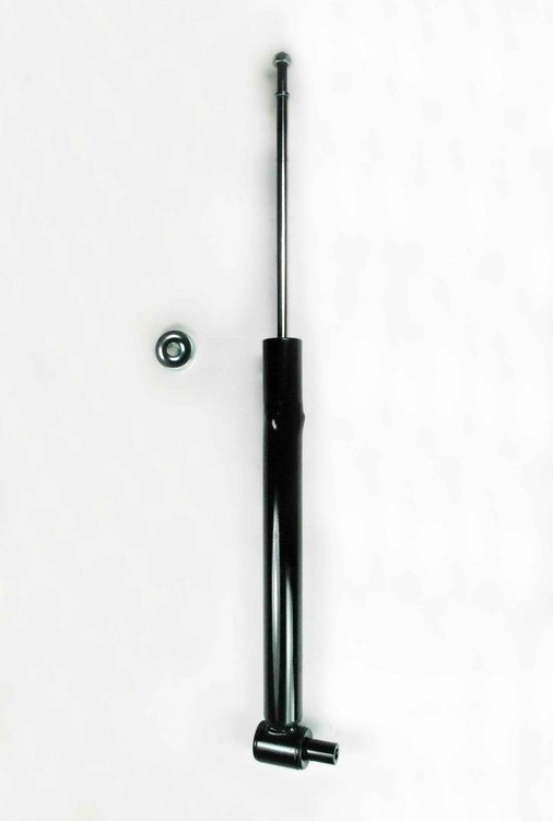 341607 Suspension Strut Assembly