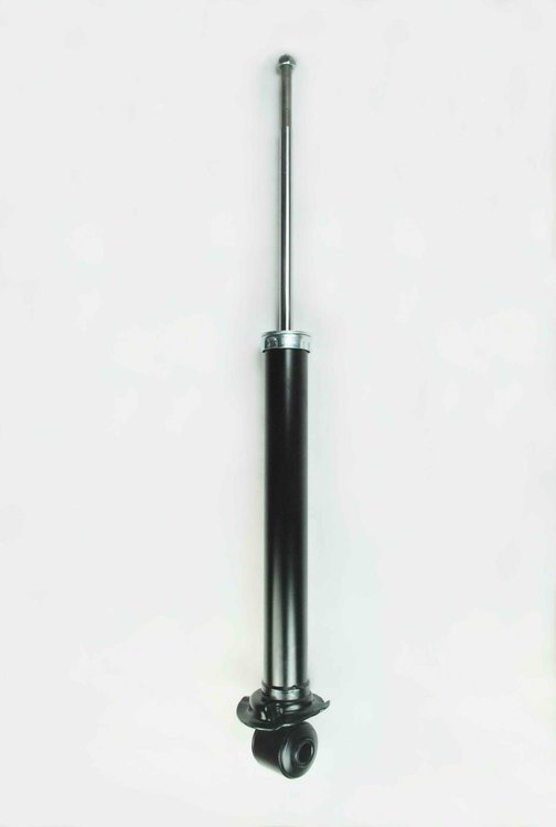 345028 Suspension Strut Assembly
