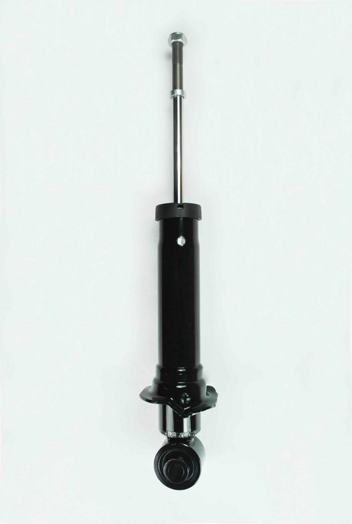 345407 Suspension Strut Assembly