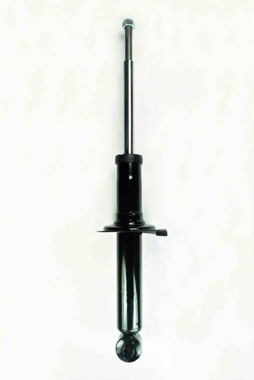 345423 Suspension Strut Assembly