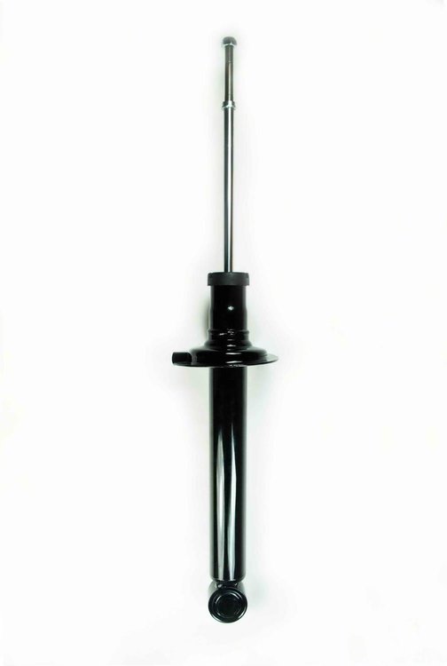345425 Suspension Strut Assembly