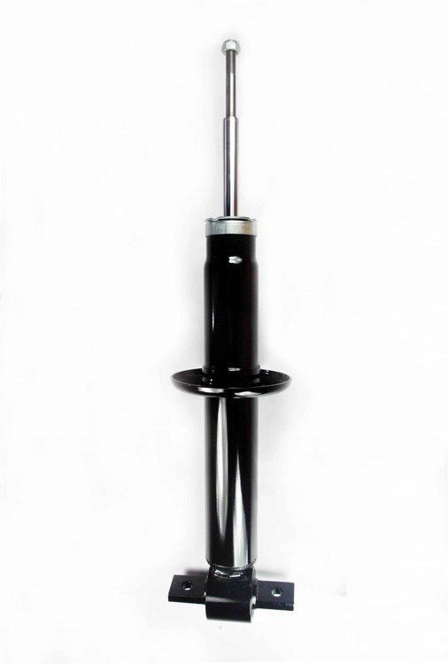 345469 Suspension Strut Assembly