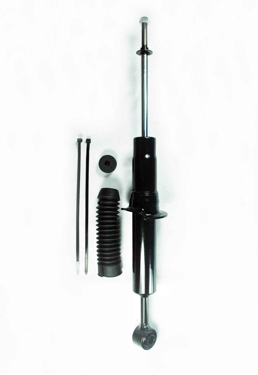 345491 Suspension Strut Assembly