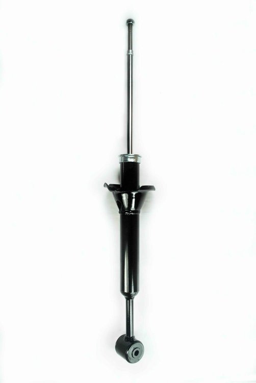 345496 Suspension Strut Assembly