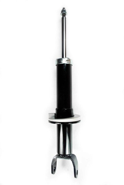 345567 Suspension Strut Assembly