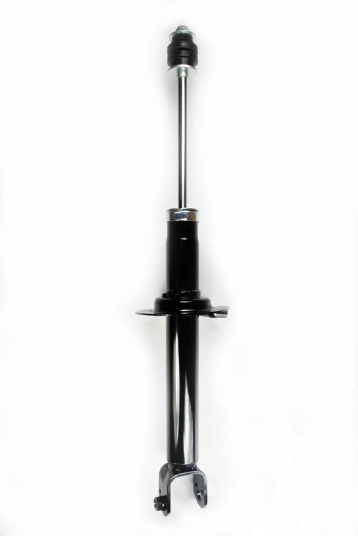 345685 Suspension Strut Assembly