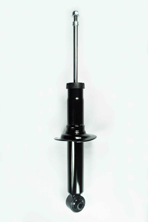 345695 Suspension Strut Assembly