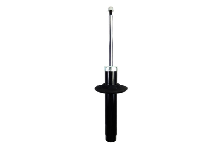345893 Suspension Strut Assembly