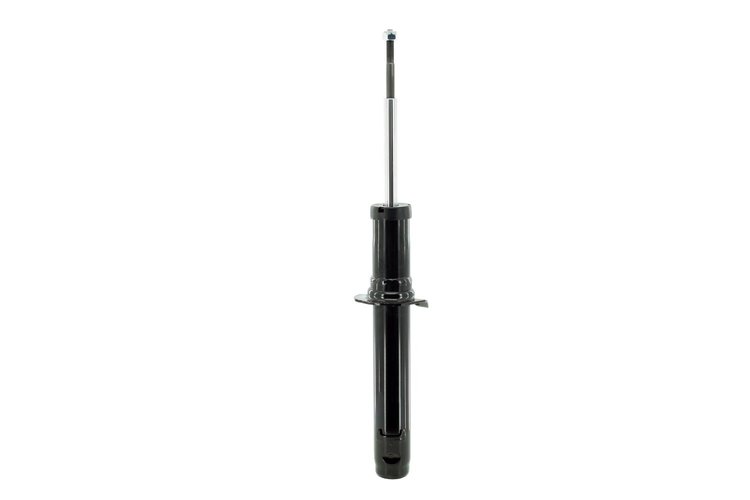 345938 Suspension Strut Assembly