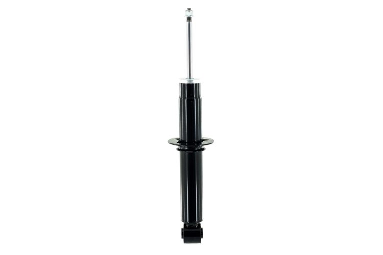 345965 Suspension Strut Assembly