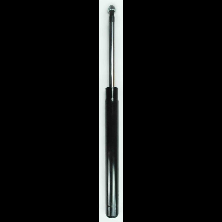STRUT CARTRIDGE
