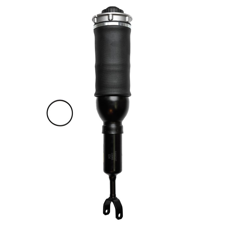 99001 Air Suspension Strut Assembly