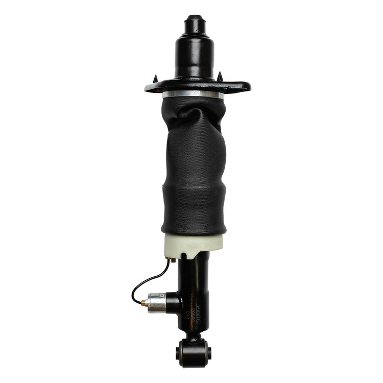 99002 Air Suspension Strut Assembly