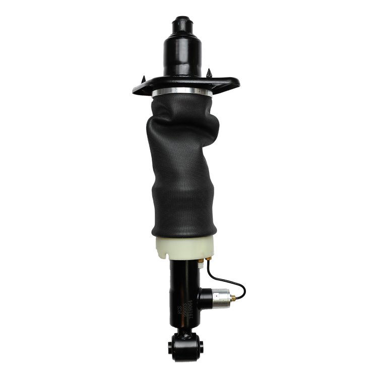 99003 Air Suspension Strut Assembly