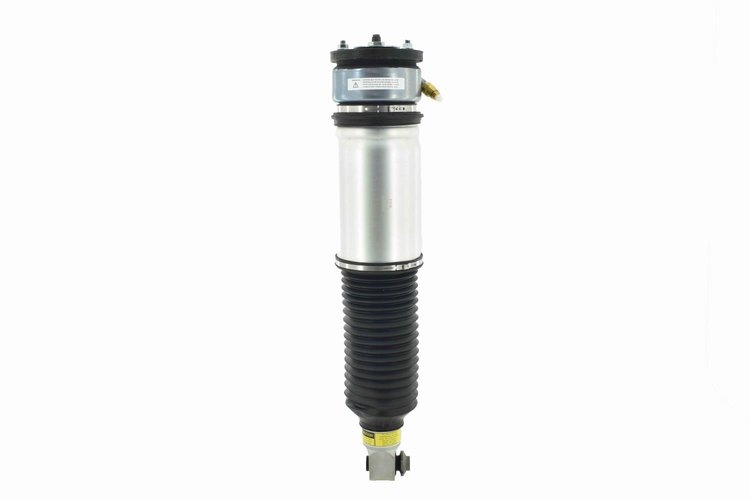 99019 Air Suspension Strut Assembly