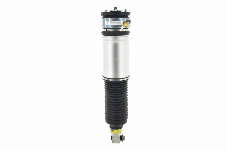 99020 Air Suspension Strut Assembly