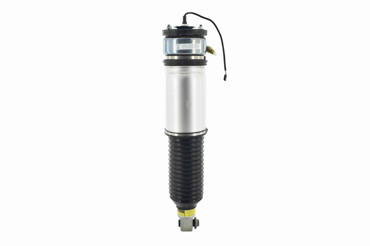 99021 Electronic Air Suspension Strut Assembly