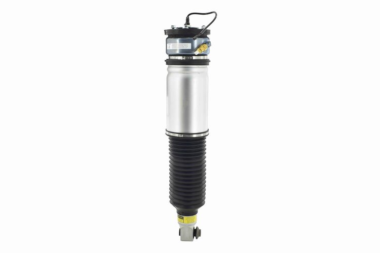 99022 Electronic Air Suspension Strut Assembly