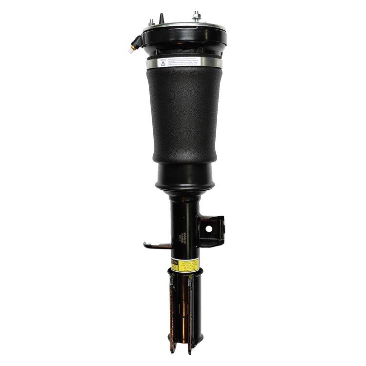 99024 Air Suspension Strut Assembly