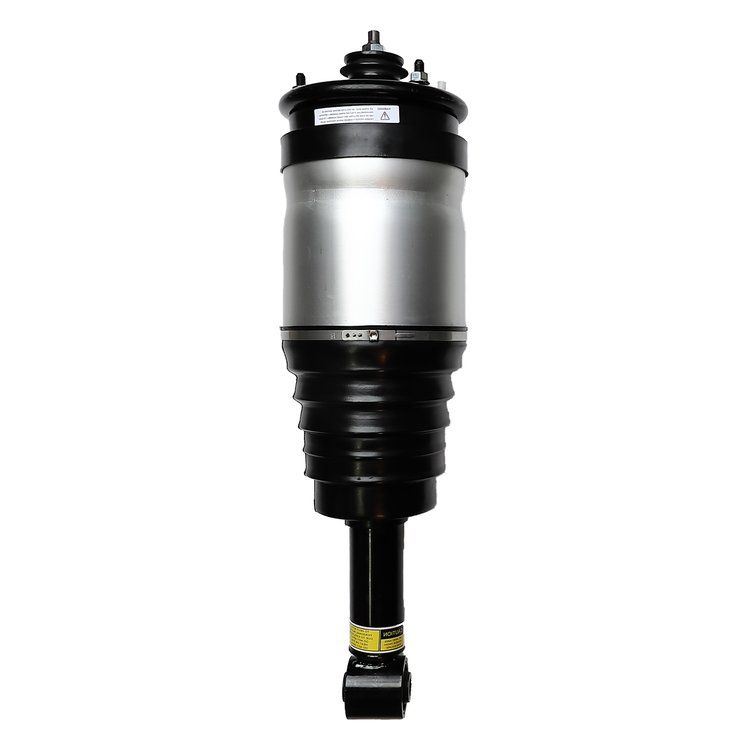 99039 Air Suspension Strut Assembly