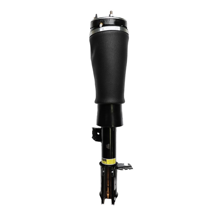 99041 Air Suspension Strut Assembly