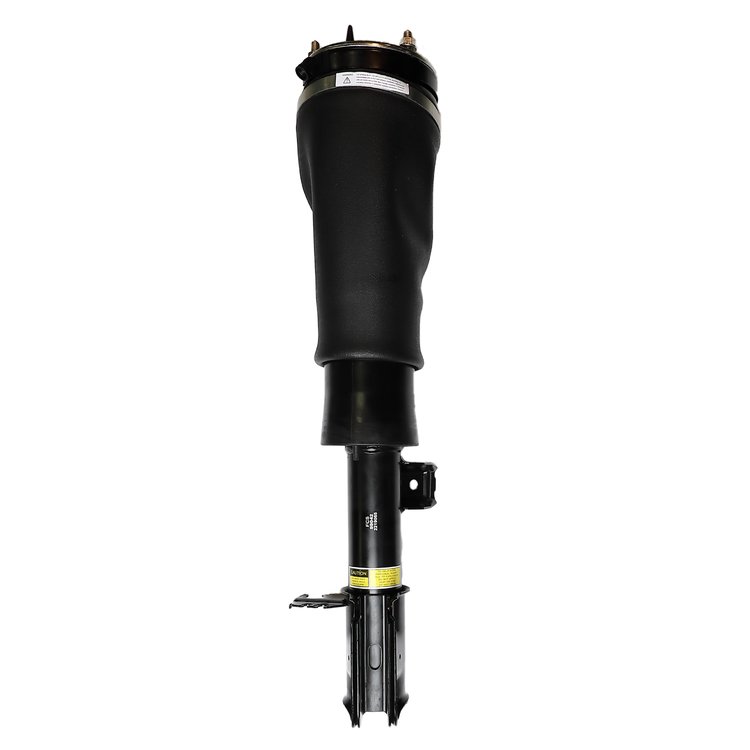 99042 Air Suspension Strut Assembly