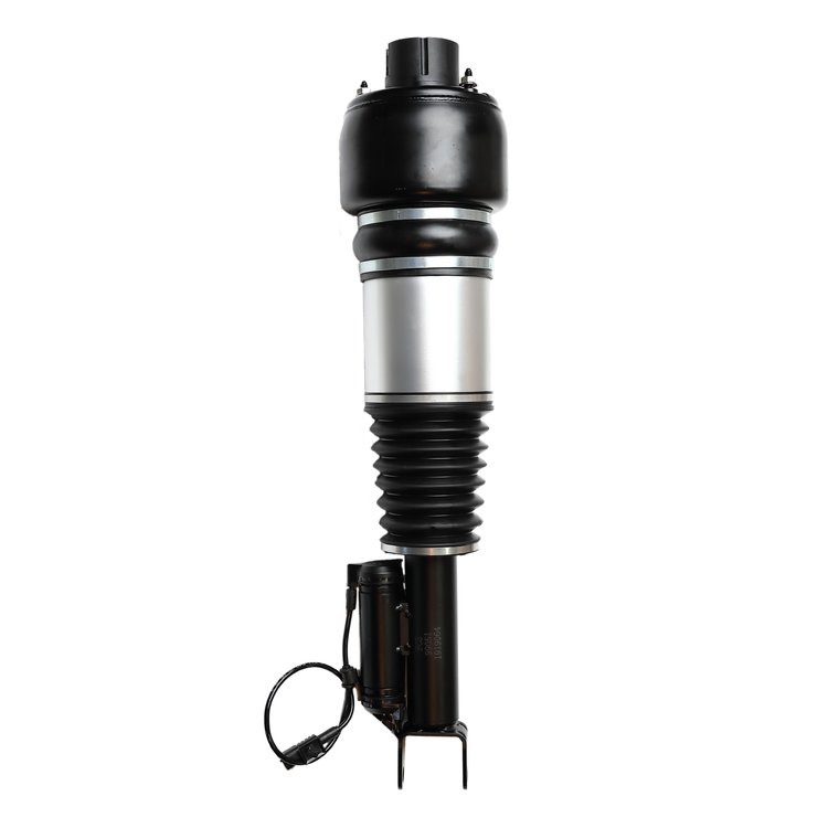99051 Electronic Air Suspension Strut Assembly