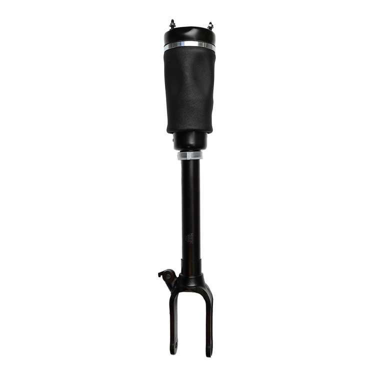 99055 Air Suspension Strut Assembly