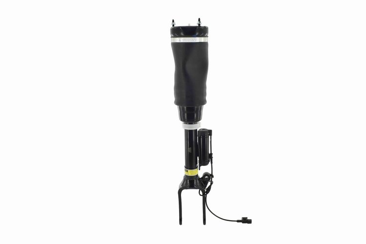 99066 Electronic Air Suspension Strut Assembly