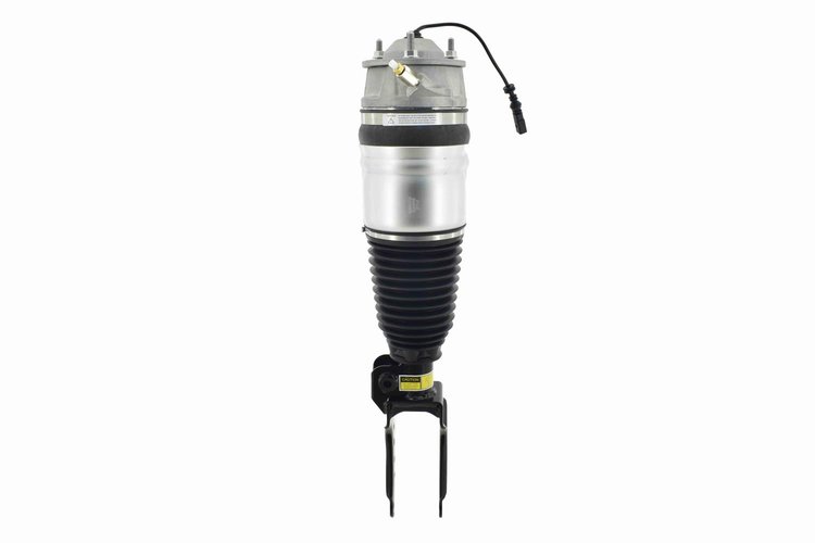99072 Electronic Air Suspension Strut Assembly