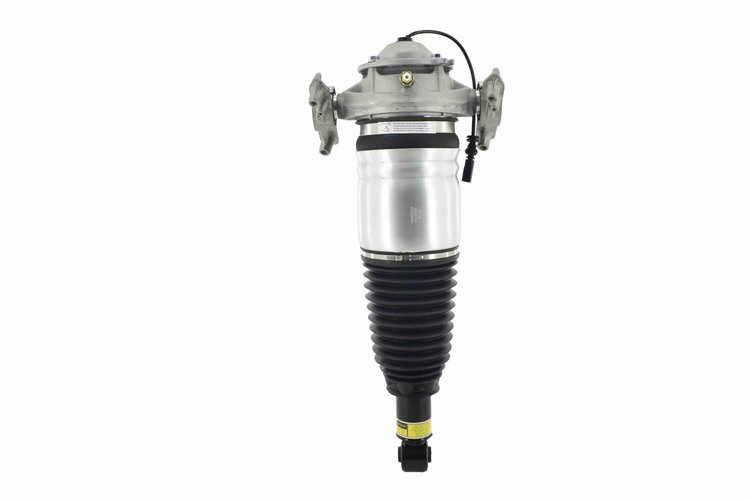 99074 Electronic Air Suspension Strut Assembly