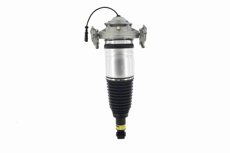 99075 Electronic Air Suspension Strut Assembly