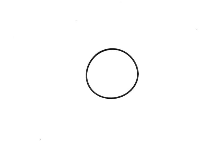 Snout O-Ring