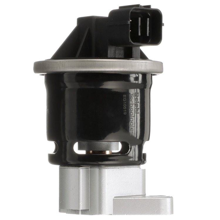 Exhaust Gas Recirculation