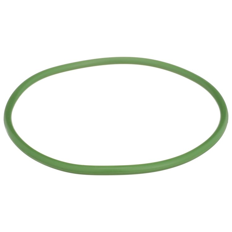 Fuel Pump Tank Seal