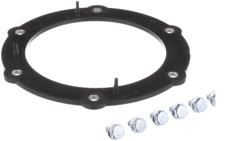 Fuel Pump Tank Seal