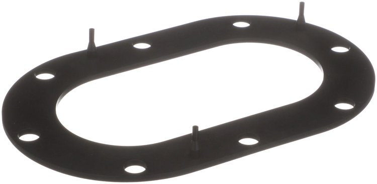 Fuel Pump Tank Seal