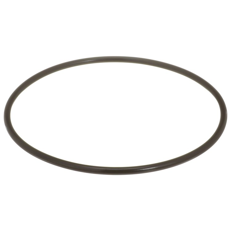Fuel Pump Tank Seal