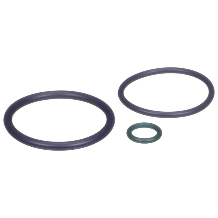 O RING KIT