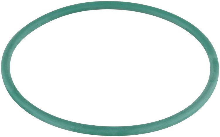 Fuel Pump Tank Seal