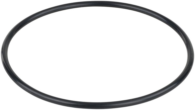 Fuel Pump Tank Seal