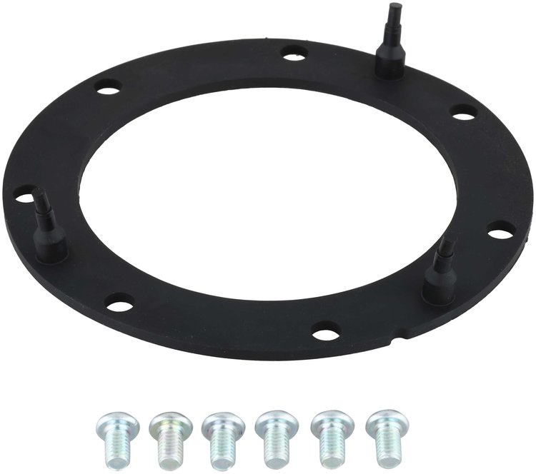 Fuel Pump Tank Seal