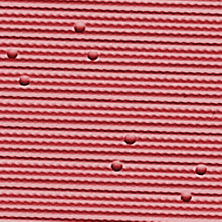 HL70CJ20 70/71 CHALLENGER 5 BOW HEAD LINER -BRIGHT RED PERFORATED