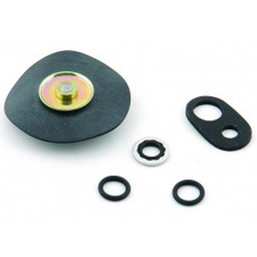 Fuel Pressure Regulator Diaphragm Kit For Regulators #650-4212 and #650-4213