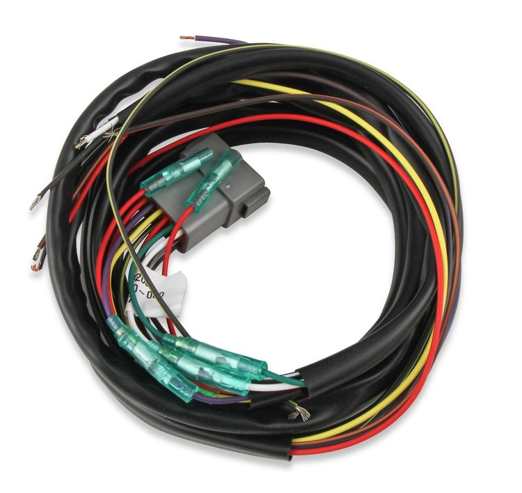 Replacement Wiring Harness for Multi-Channel Ignitions [121-62152 & 121-62153]