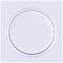 15" OUTER BDLK RING SILVE