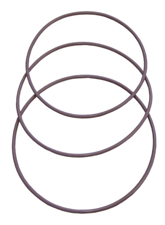 425 4 in. Filter Replacement O-Ring Kit, Viton, Chemical Resistant, Fits All 4 in. See-Through Filter Assemblies