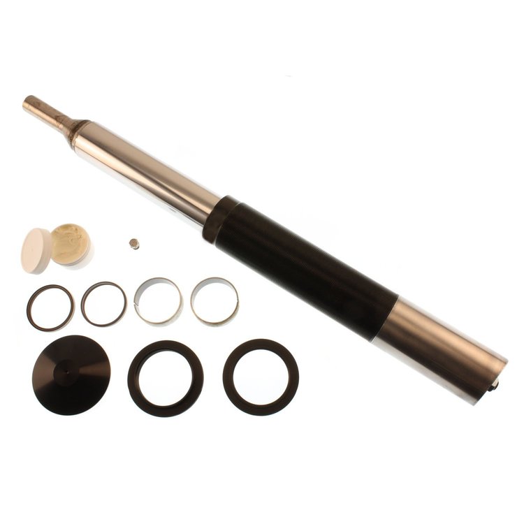 35-212904 Universal Motorsports Strut Suspension Strut Assembly